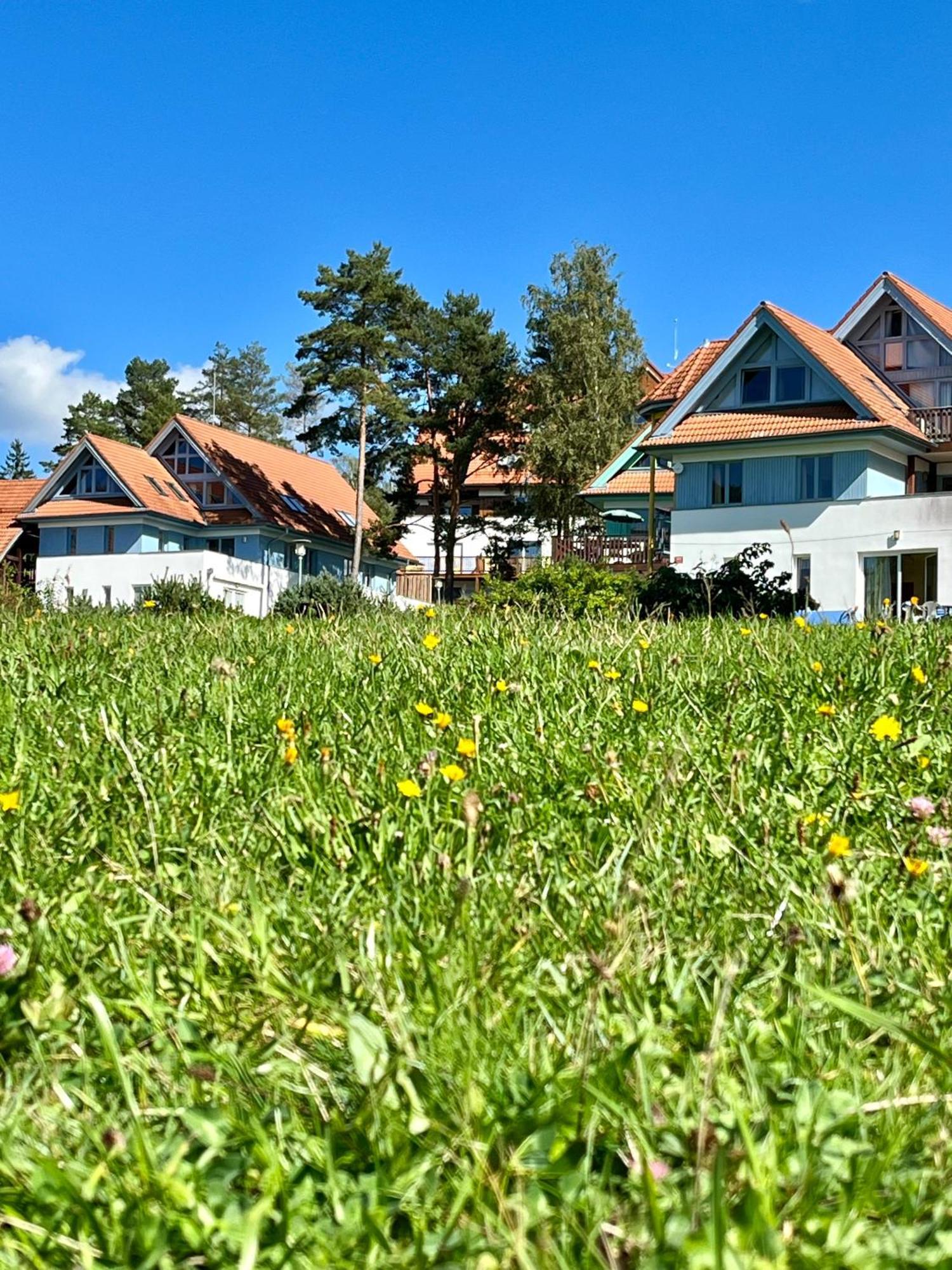 Lipno Beach Apartment Lipno nad Vltavou Extérieur photo